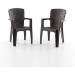 Side 2'li Rattan Sandalye Kahve