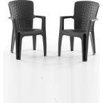 Side 2'li Rattan Sandalye Siyah