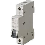 Siemens - 1P 32A 6Ka B Serisi Monofaze Anahtarlı Otomatik Sigorta 5Sl6132-6Ya