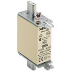 Siemens 3NA3830 Steatit Gövdeli NH-Bıçaklı 100A Sigorta