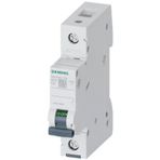 Siemens 5Sl6106-7Ya | 1 Faz 6A C Tipi 6Ka Monofaze Otomatik Sigorta