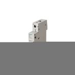 Siemens 5SL6125-7 25 Amper 1 Kutup 6 KA C Eğrisi Otomatik Sigorta