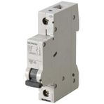 Siemens 5SL6125-7YA Otomatik Sigorta 6kA C Tipi 1x25 Amper