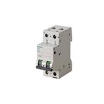 Siemens 5SL6250-7 Otomatik Sigorta C Tipi 2 Faz 50A. 6kA