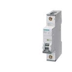 Siemens 5SY5125-7 1 Fazlı 25A Anahtarlı Otomatik Sigorta