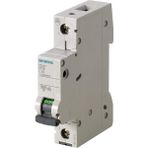 SIEMENS 63A; 1 FAZLI; 70 mm; ANAHTARLI OTOMATİK SİGORTA; 6kA; C TİPİ; YAVAŞ KARAKTERLİ