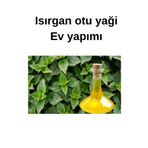 ŞİFAGIDA Isırgan Otu Yağı 50gr (saçlarin Hızlı Uzaması İçin)