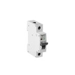 Sigma 6SM116C C Tipi 1 Faz 16A 6kA Otomatik Sigorta