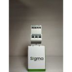 Sigma STRP22-016 STRP22-016 0.1-0.16A Termik Röle - Beyaz