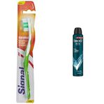 Signal Performans Diş Fırçası, 14,5 Gr ve Rexona Men Erkek Sprey Deodorant Xtra Cool 72 Saat Kesintisiz Üstün Koruma 200 ml