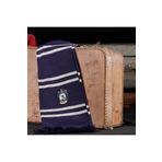Sihir Dükkanı ATKI002 Ravenclaw 18×170 cm Lisanslı Örme Akrilik Atkı
