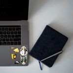 sihir dükkanı Harry Potter Sticker - Hufflepuff