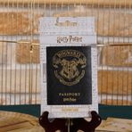 Sihir Dükkanı Hogwarts Pasaport Kılıfı Lisanslı Deri