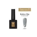 SİHİRLİ AYNA Lüks Kalıcı Oje Özel Seri Kedi Gözü C001F 10ml