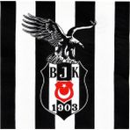 Sihirli Parti Beşiktaş Kağıt Peçete