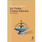 Şiir Dedim Önümü İlikledim - Şiir Yazıları