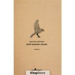 Şiirin Kanatları Altında - Nurettin Durman