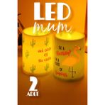 Şık 2'li LED Mum Seti, Dekoratif ve Pilli, Alevsiz, Yapay ve Güzel Tasarım - Seçenek 1