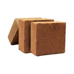 Sıkıştırılmış Hindistan Cevizi Torfu 60 - 65 L Blok Cocopeat Kokopit 4 - 5 KG