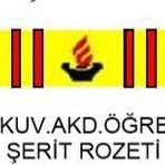 Silahlı Kuv. Akd. Öğrenimi Şerit Rozeti