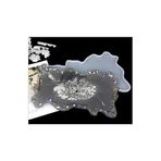 Siliko World Epoksi Reçine Tepsi Kalıbı BT9199