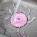 Silikon Malzeme Banyo Mutfak Gider Evye Lavabo Icine Cop Tipasi Kaydirmaz Suzgec Cesitleri Modelleri (2818)