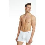 Silver Beyaz Boxer 9313 - XL