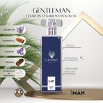 silver elegance vip perfume Gentleman Edp 50 ml – Odunsu ve Baharatlı Erkek Parfümü (E-017)