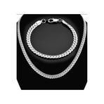 Silver Ezme Yassı Yılan Çelik Unisex Kolye Ve Bileklik Seti Eck36 Beyaz