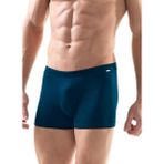 Silver Lacivert Boxer 9310 - 2XL