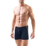 Silver Lacivert Boxer 9313 - 2XL