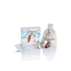 Silverina ® Koruyucu Gümüş Göğüs Kapağı