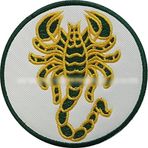 Sim Nakış Akrep nakış işleme arma patch yeşil peç 8×8 cm