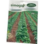 Simagro Marul Yazlık Kıvırcık