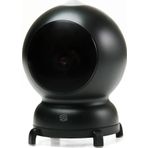 Şımart Akıllı Kedi Oyuncağı