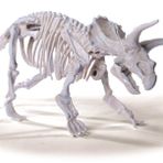 Simba 104342547 Triceratops Dino İskelet Kazı Seti