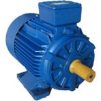 Simo Elektrik Motoru 15KW -3000DD - B3