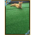 ŞİMŞEK YAPAY SUNI ÇIM HALI (100CM*800CM)