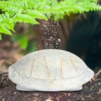 Simülasyon Akvaryum Terrarium Balık Sürüngen Mağarası Peyzaj Dekorasyonunu Saklayın Sürüngen Dekorasyon Mağarası Lyour Lyour Bmight A (NS-106)