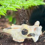 Simülasyon Akvaryum Terrarium Balık Sürüngen Mağarası Peyzaj Dekorasyonunu Saklayın Sürüngen Dekorasyon Mağarası Lyour Lyour Bmight A (NS-107)