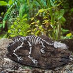 Simülasyon Akvaryum Terrarium Balık Sürüngen Mağarası Peyzaj Dekorasyonunu Saklayın Sürüngen Dekorasyon Mağarası Lyour Lyour Bmight A (NS-124)