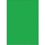 Sınar FK321 Fosforlu Yeşil 50x70 155 gr Fon Kartonu