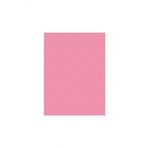 Sinar Spectra 50 x 70 120 gr Pembe Fon Kartonu 100 Lü (1 Paket 100 Adet)