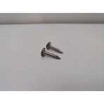 Şıngıl Çivisi 2 CM
