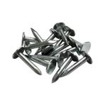 Şıngıl Çivisi 2cm 1kg
