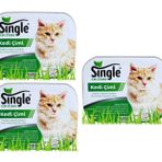 Single Natural Kedi Çimi (3 ADET)