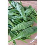 Sinir Otu ( Damar otu ) - 1 Paket
