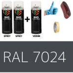 Sio Colors 2 Adet Sprey +1 Adet Vernik Grafit Gri RAL-7024 Sprey Boya Seti 400 Ml+Zımpara+Kağıtbant+Eldiven