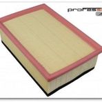 Sıon P307 Dw10ated 2,0hdı P206 P307 C4 Vts Ew10j4s sungerlı Hava Filtresi