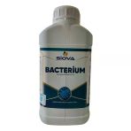 Siova Bacterium Mikrobiyal Gübre 5Lt
